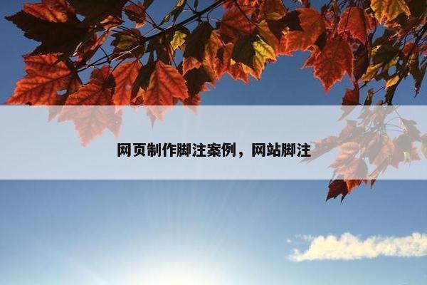 网页制作脚注案例，网站脚注-第1张图片-冷动云
