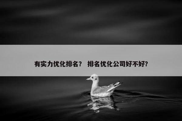 有实力优化排名？ 排名优化公司好不好？-第1张图片-冷动云