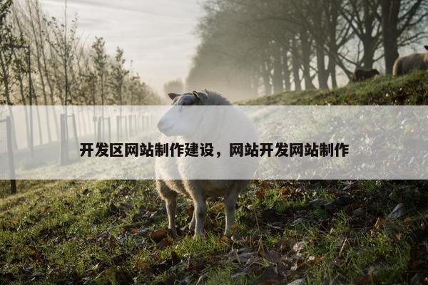 开发区网站制作建设，网站开发网站制作-第1张图片-冷动云
