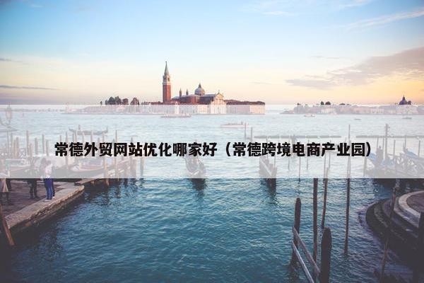 常德外贸网站优化哪家好（常德跨境电商产业园）-第1张图片-冷动云