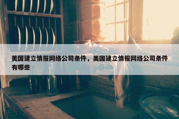 美国建立情报网络公司条件，美国建立情报网络公司条件有哪些-第1张图片-冷动云