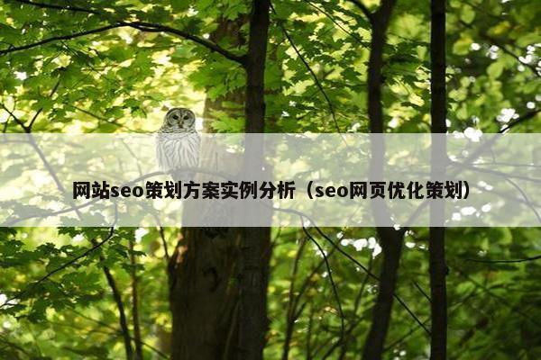 网站seo策划方案实例分析（seo网页优化策划）-第1张图片-冷动云