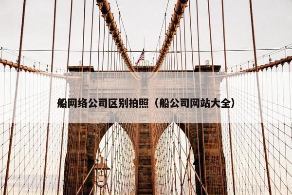 船网络公司区别拍照（船公司网站大全）-第1张图片-冷动云