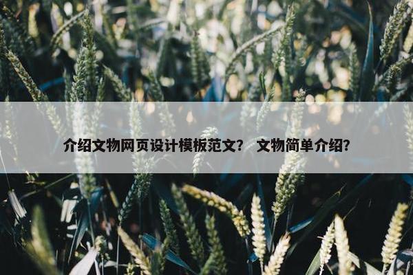 介绍文物网页设计模板范文？ 文物简单介绍？-第1张图片-冷动云