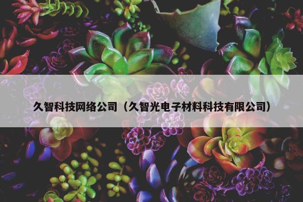 久智科技网络公司（久智光电子材料科技有限公司）-第1张图片-冷动云