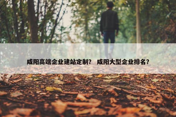 咸阳高端企业建站定制？ 咸阳大型企业排名？-第1张图片-冷动云