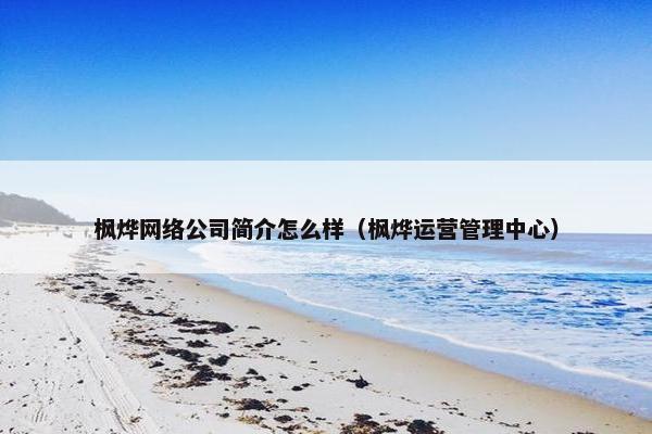 枫烨网络公司简介怎么样（枫烨运营管理中心）-第1张图片-冷动云