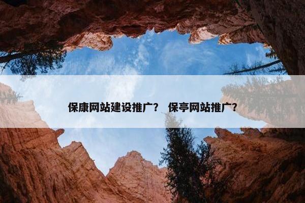 保康网站建设推广？ 保亭网站推广？-第1张图片-冷动云