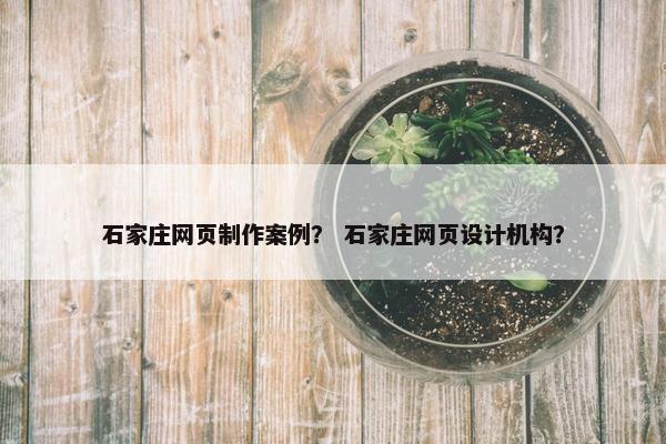 石家庄网页制作案例？ 石家庄网页设计机构？-第1张图片-冷动云