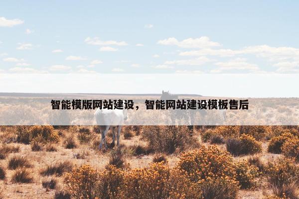 智能模版网站建设，智能网站建设模板售后-第1张图片-冷动云