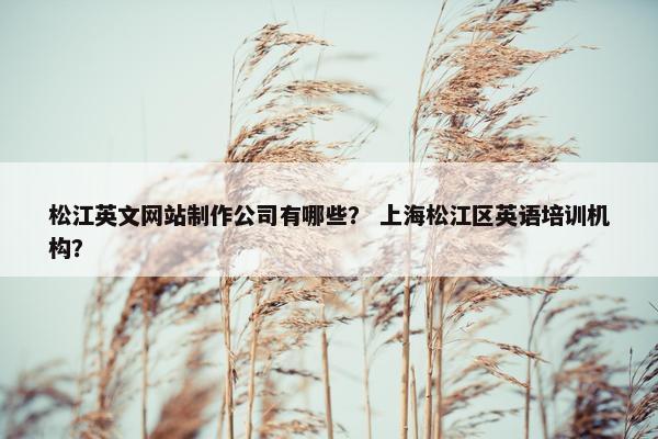 松江英文网站制作公司有哪些？ 上海松江区英语培训机构？-第1张图片-冷动云