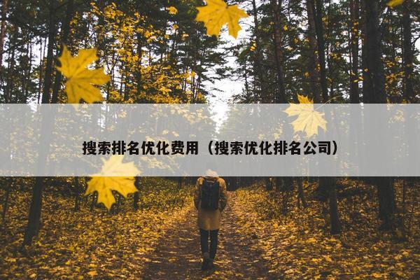 搜索排名优化费用（搜索优化排名公司）-第1张图片-冷动云