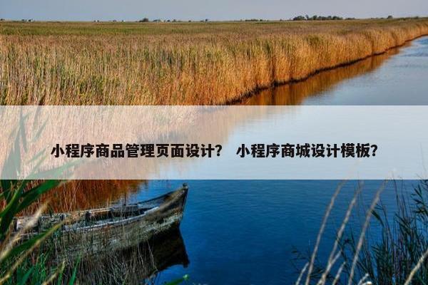 小程序商品管理页面设计？ 小程序商城设计模板？-第1张图片-冷动云