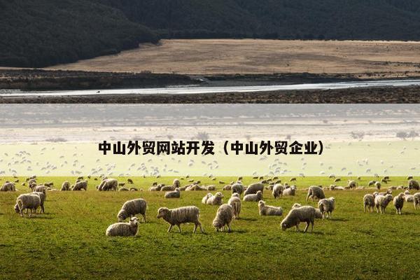 中山外贸网站开发（中山外贸企业）-第1张图片-冷动云