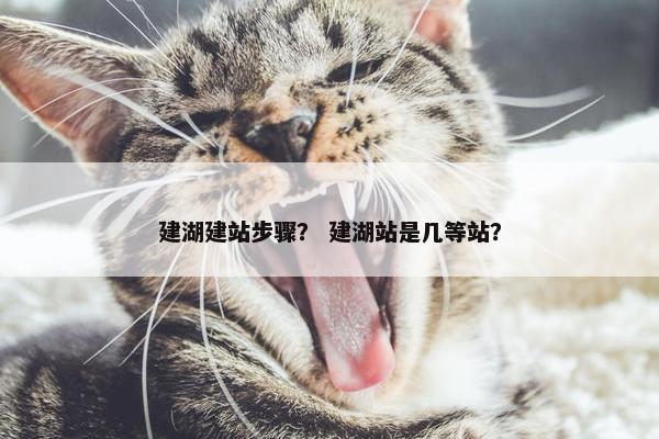 建湖建站步骤？ 建湖站是几等站？-第1张图片-冷动云