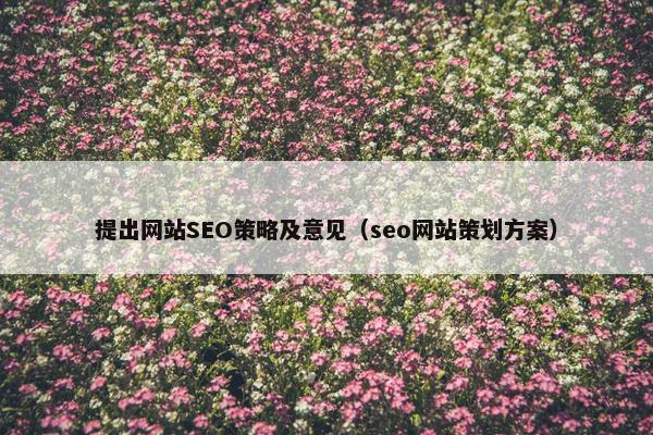 提出网站SEO策略及意见（seo网站策划方案）-第1张图片-冷动云