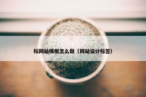 标网站模板怎么做（网站设计标签）-第1张图片-冷动云