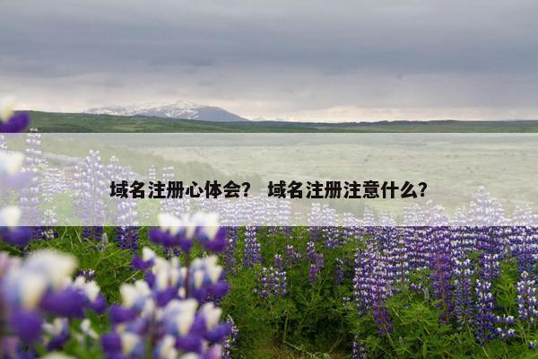 域名注册心体会？ 域名注册注意什么？-第1张图片-冷动云