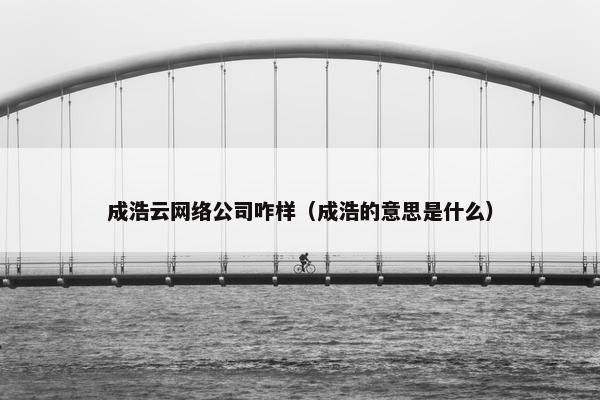 成浩云网络公司咋样（成浩的意思是什么）-第1张图片-冷动云