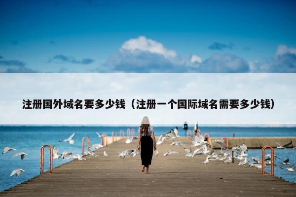 注册国外域名要多少钱（注册一个国际域名需要多少钱）-第1张图片-冷动云