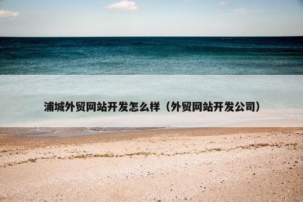 浦城外贸网站开发怎么样（外贸网站开发公司）-第1张图片-冷动云