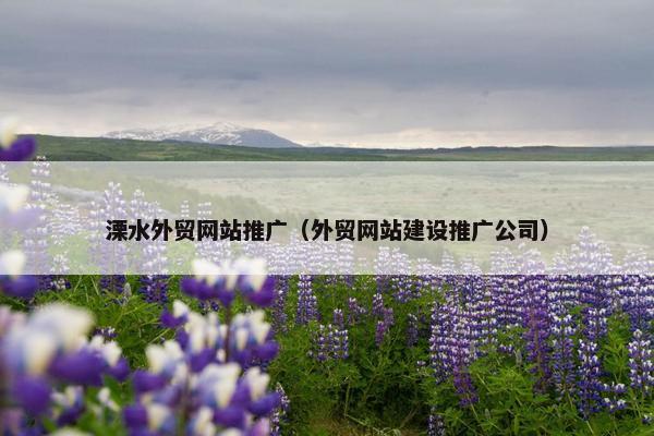 溧水外贸网站推广（外贸网站建设推广公司）-第1张图片-冷动云