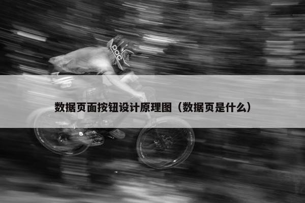数据页面按钮设计原理图（数据页是什么）-第1张图片-冷动云