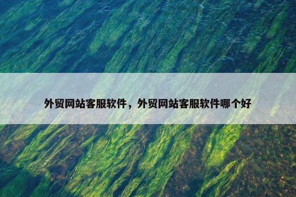 外贸网站客服软件，外贸网站客服软件哪个好-第1张图片-冷动云