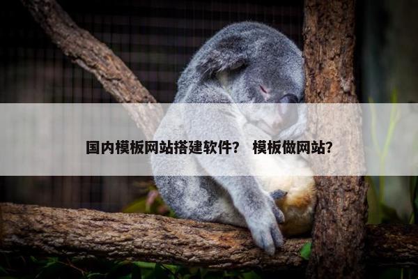 国内模板网站搭建软件？ 模板做网站？-第1张图片-冷动云