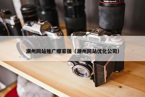 潮州网站推广哪家强（潮州网站优化公司）-第1张图片-冷动云