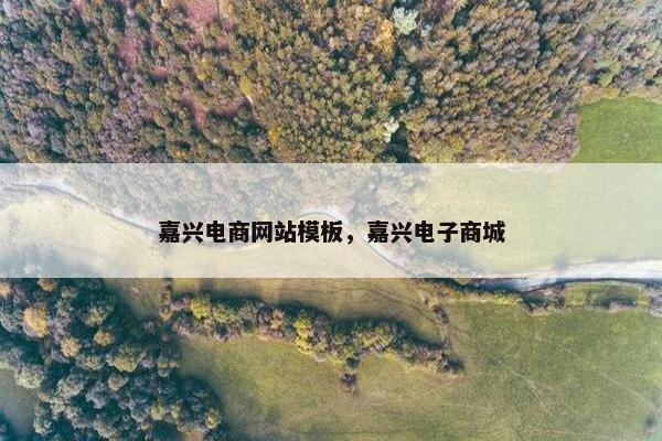 嘉兴电商网站模板，嘉兴电子商城-第1张图片-冷动云