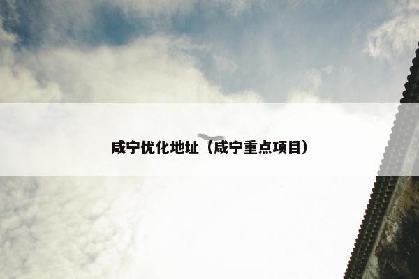 咸宁优化地址（咸宁重点项目）-第1张图片-冷动云