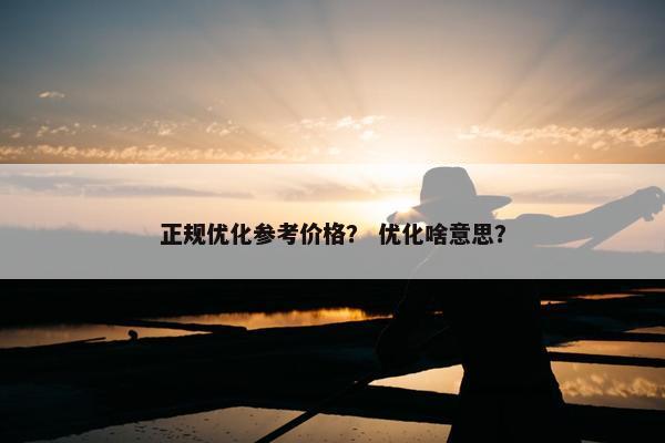 正规优化参考价格？ 优化啥意思？-第1张图片-冷动云