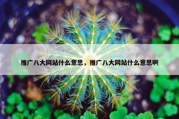推广八大网站什么意思，推广八大网站什么意思啊-第1张图片-冷动云