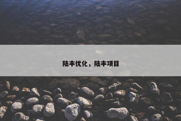 陆丰优化，陆丰项目-第1张图片-冷动云