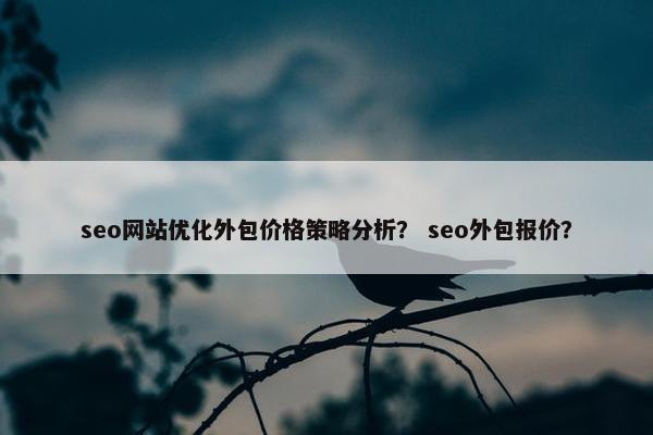 seo网站优化外包价格策略分析？ seo外包报价？-第1张图片-冷动云
