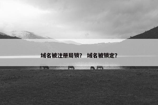 域名被注册局锁？ 域名被锁定？-第1张图片-冷动云