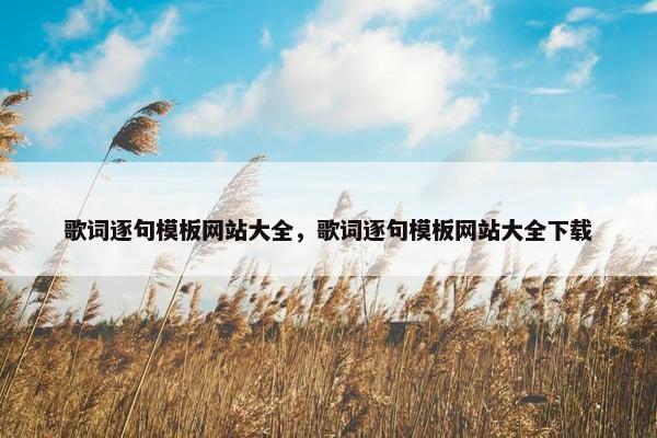歌词逐句模板网站大全，歌词逐句模板网站大全下载-第1张图片-冷动云