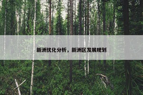 新洲优化分析，新洲区发展规划-第1张图片-冷动云
