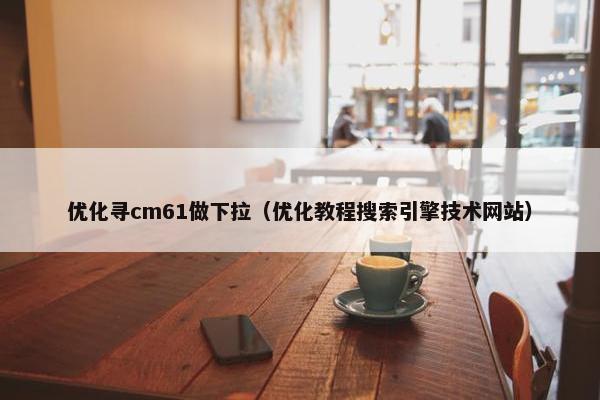 优化寻cm61做下拉（优化教程搜索引擎技术网站）-第1张图片-冷动云