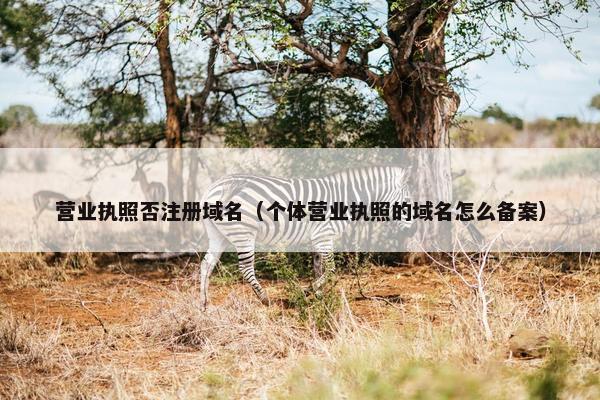 营业执照否注册域名（个体营业执照的域名怎么备案）-第1张图片-冷动云