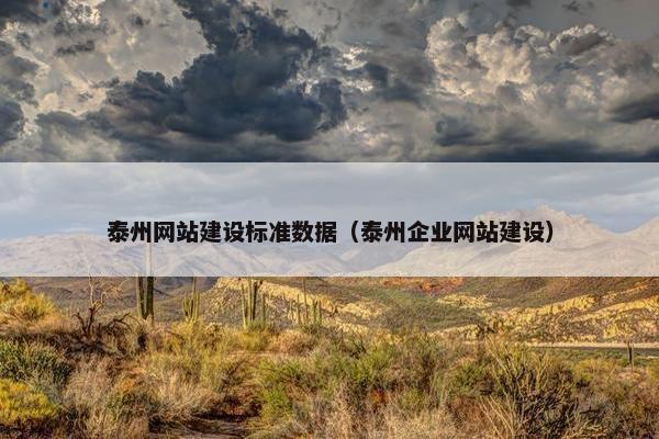 泰州网站建设标准数据（泰州企业网站建设）-第1张图片-冷动云