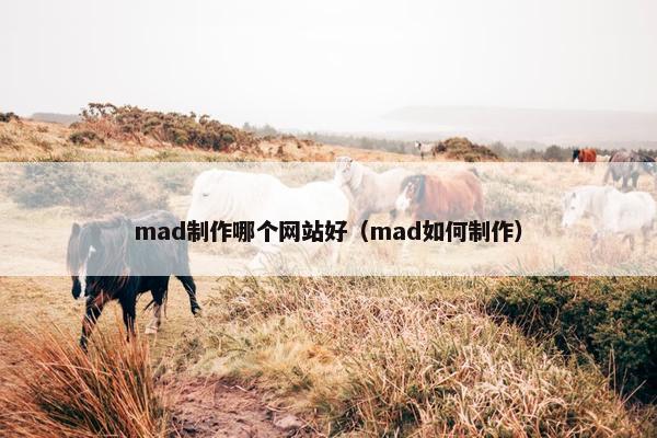 mad制作哪个网站好（mad如何制作）-第1张图片-冷动云