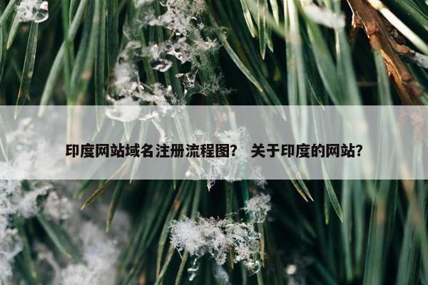 印度网站域名注册流程图？ 关于印度的网站？-第1张图片-冷动云