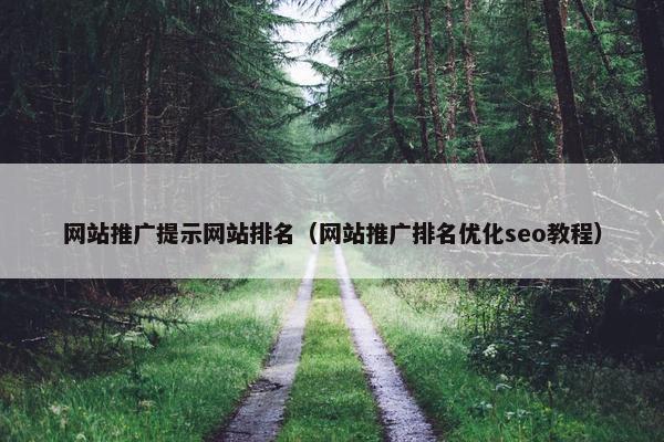 网站推广提示网站排名（网站推广排名优化seo教程）-第1张图片-冷动云