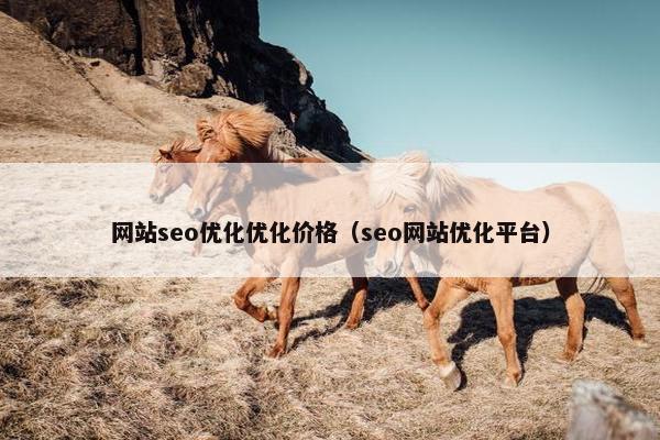 网站seo优化优化价格（seo网站优化平台）-第1张图片-冷动云