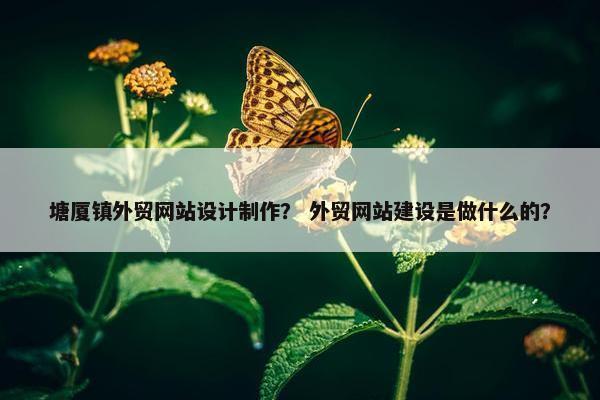 塘厦镇外贸网站设计制作？ 外贸网站建设是做什么的？-第1张图片-冷动云
