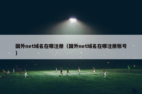 国外net域名在哪注册（国外net域名在哪注册账号）-第1张图片-冷动云