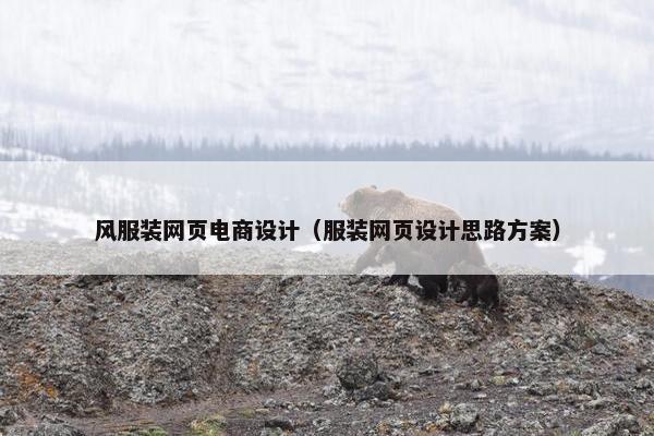风服装网页电商设计（服装网页设计思路方案）-第1张图片-冷动云