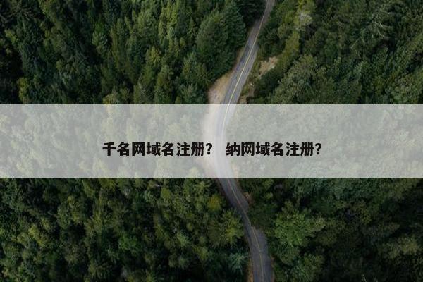 千名网域名注册？ 纳网域名注册？-第1张图片-冷动云